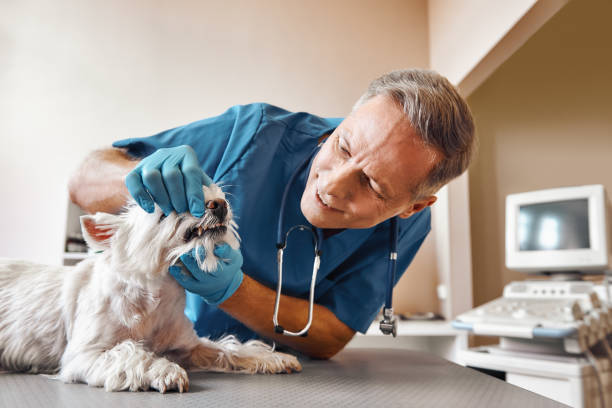 Best Emergency Tooth Extraction in Montara, CA